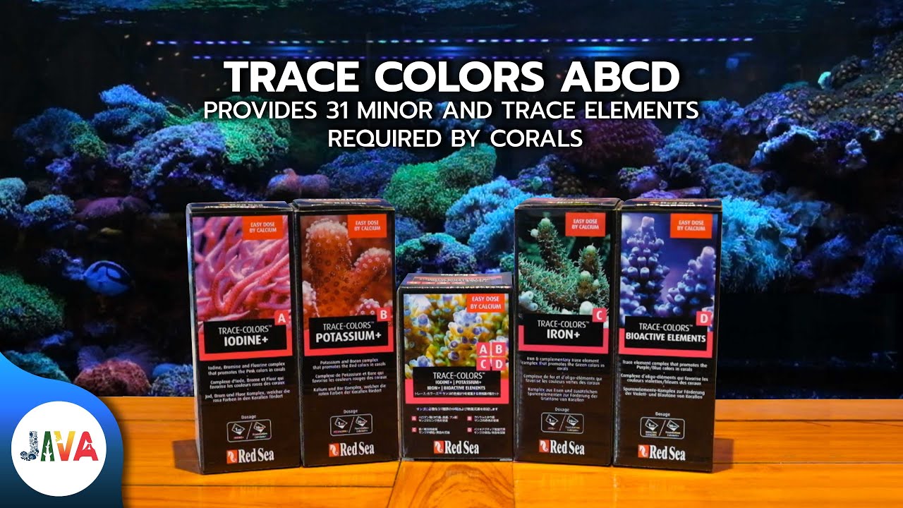 RED SEA TRACE COLORS ABCD