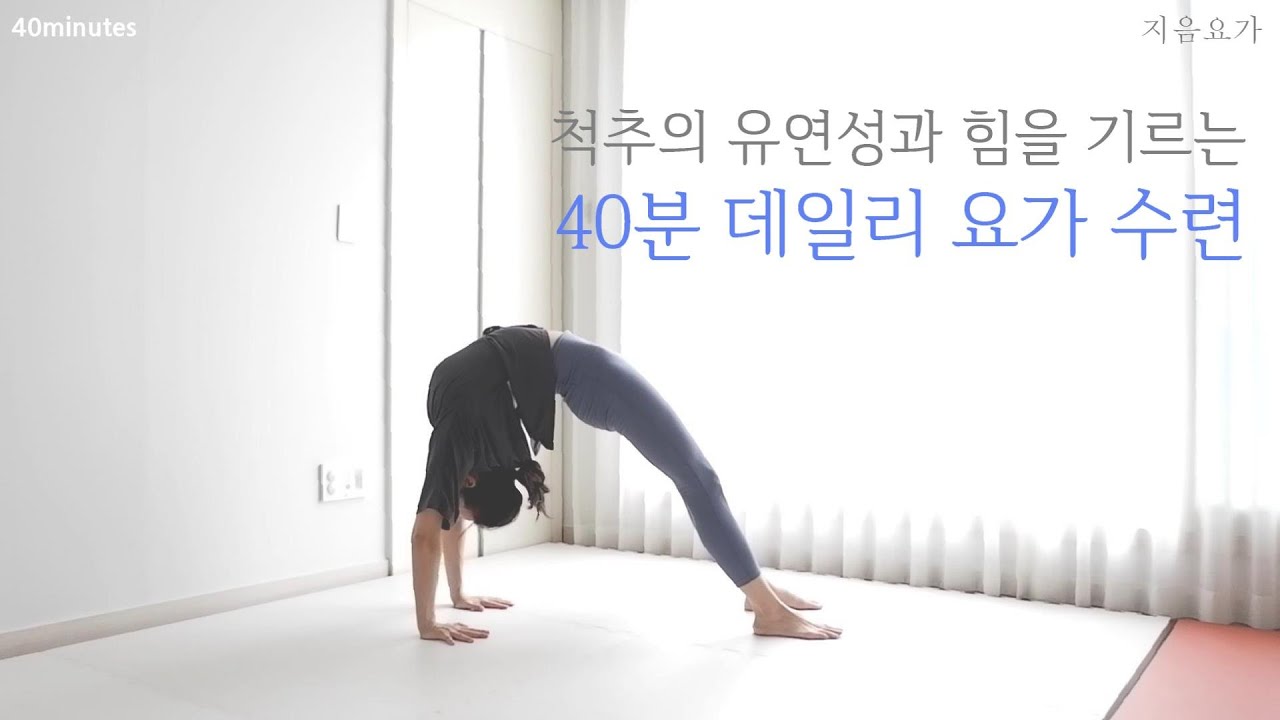 척추의 유연성과 힘을 기르는 40분 데일리 요가수련 / 척추 교정 및 순환 by.지음요가(jiumyoga)