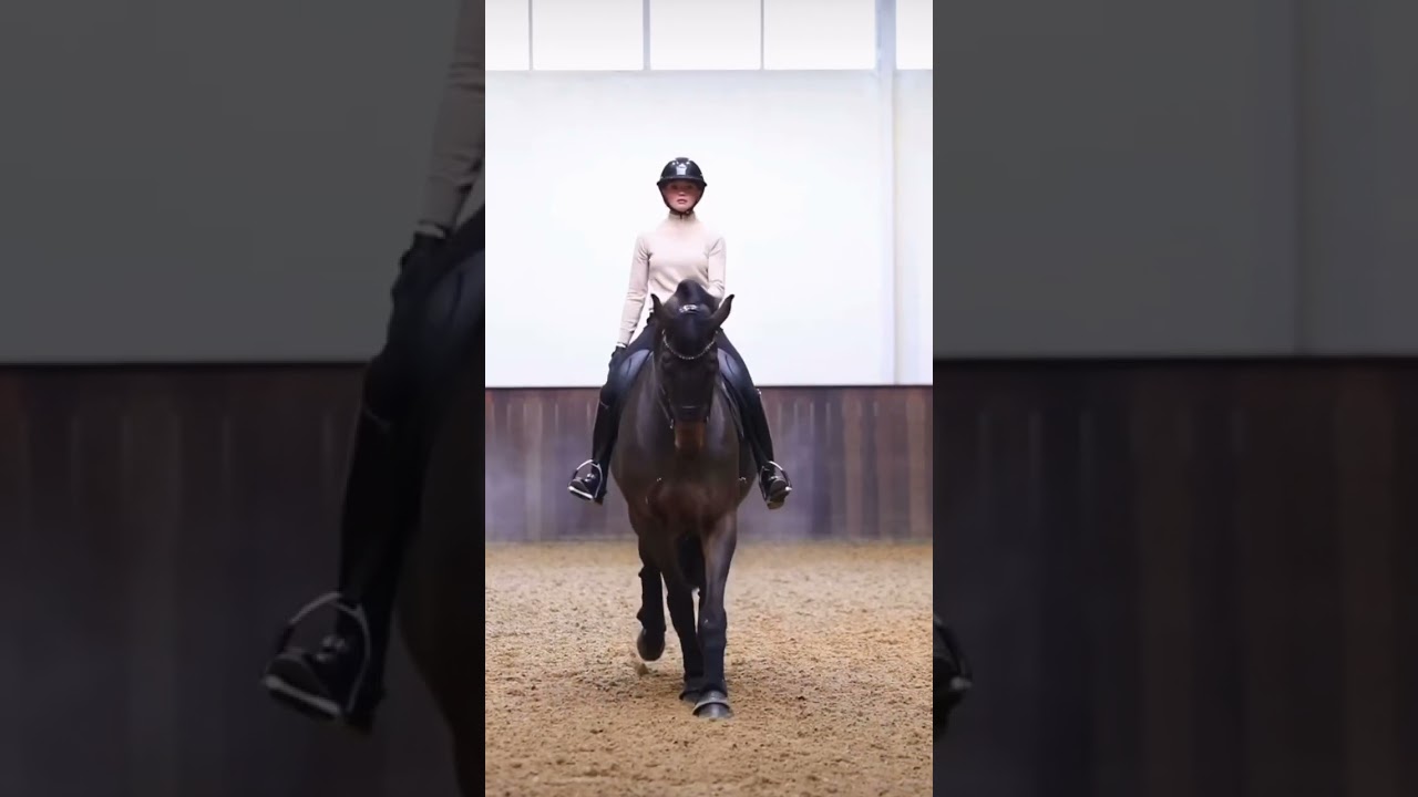 Wow 🤩 #viral #equestrian #dream #horses #pferde #horselover #pferdem&auml;dchen #subscribe #dressur