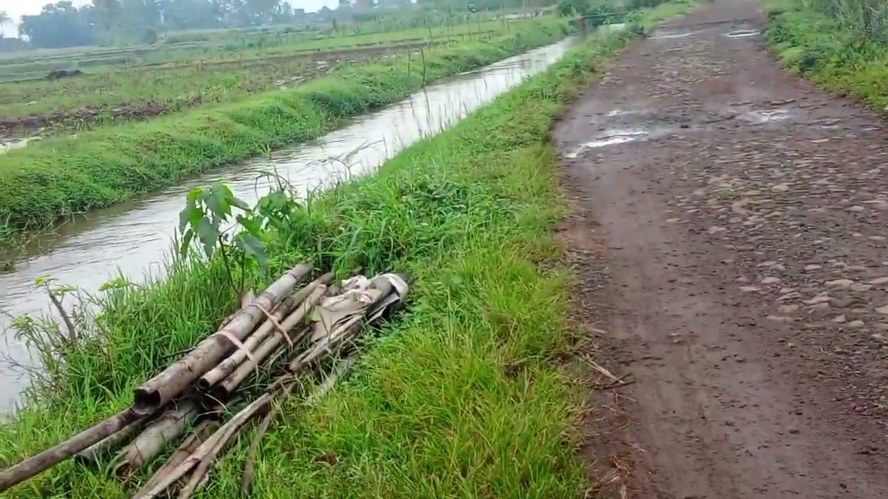 Assalamualaikum baru pulang buat story 