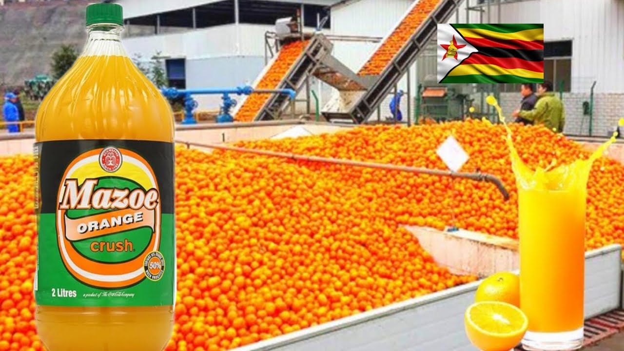 How Mazoe Orange Crush Is Made From Oranges In A Zimbabwean Factory 