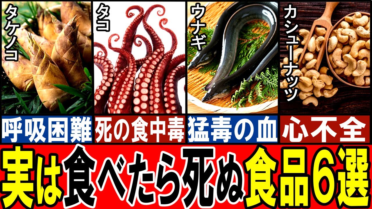 【食べたら死ぬ】身近にある実は危険な食べ物６選【閲覧注意】【ゆっくり解説】