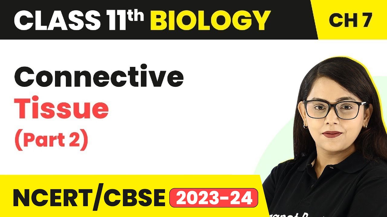 Connective Tissue Class 11 | Structural Organisation In Animals | Class 11 Biology (Part -2)