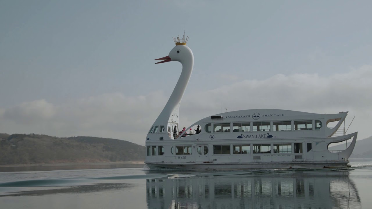 山中湖 白鳥の湖