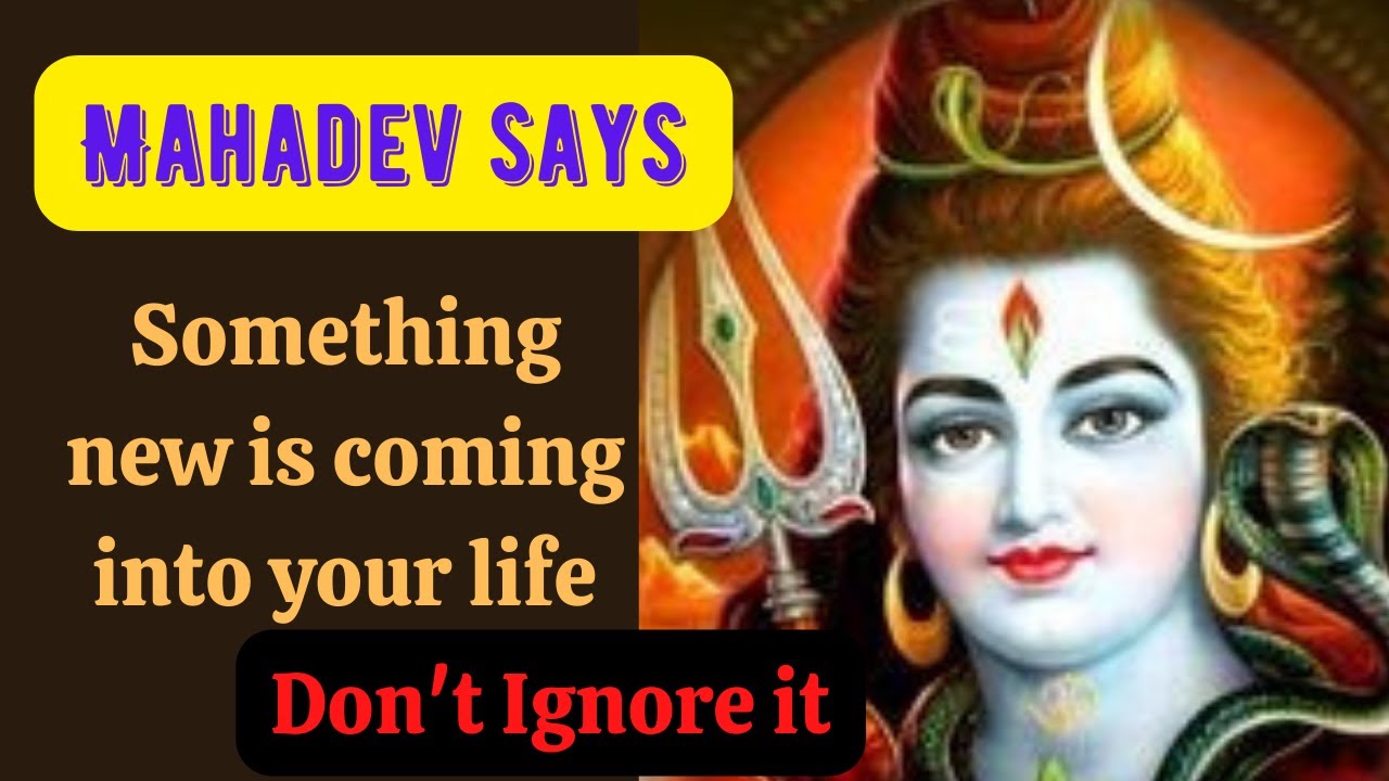 🕉️ Mahadev message for you| 🛑 urgent message from Mahadev| something new is coming into your life😊