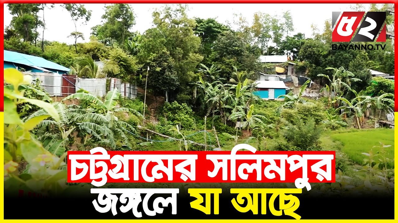 ভয়ংকর অপরাধের স্বর্গরাজ্য চট্টগ্রামের সলিমপুর জঙ্গল যা আছে | Chattogram