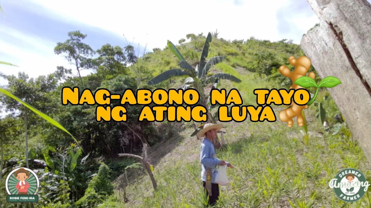 INAABONOHAN DIN PALA ANG LUYA?🌱🌿🫚 | Amazing Dreamer