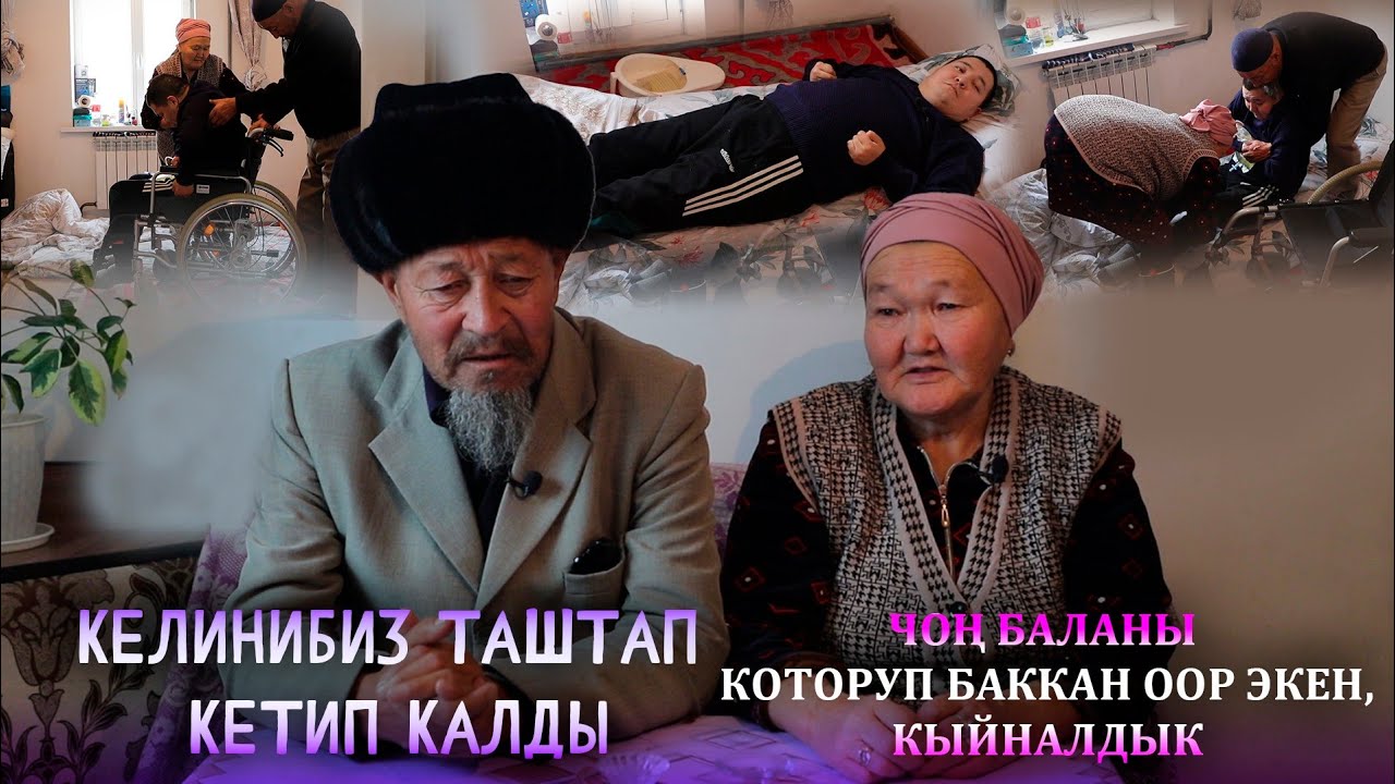 Жаш баладай тамак берип, колго тосуп 5 жылдан бери багып жатабыз