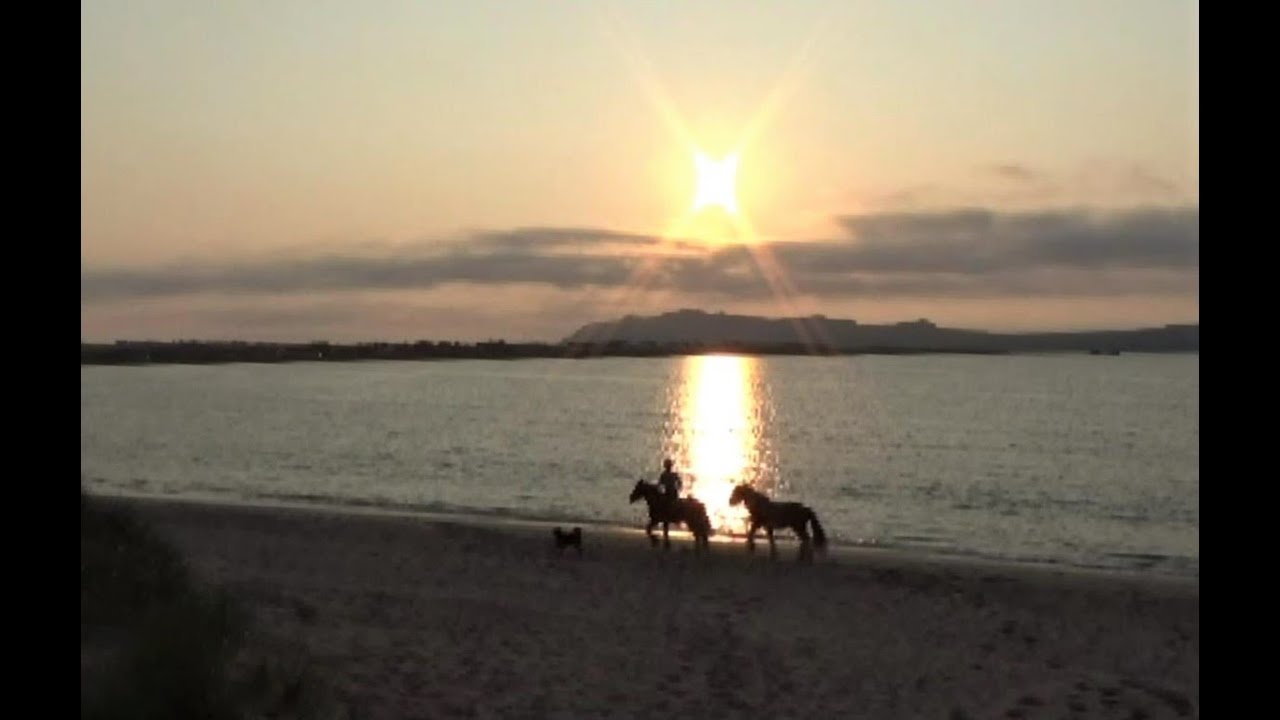 Wanderitt auf der Dingle-Halbinsel in Irland mit zwei Tinkern und Hund - Sand und Sonne pur!