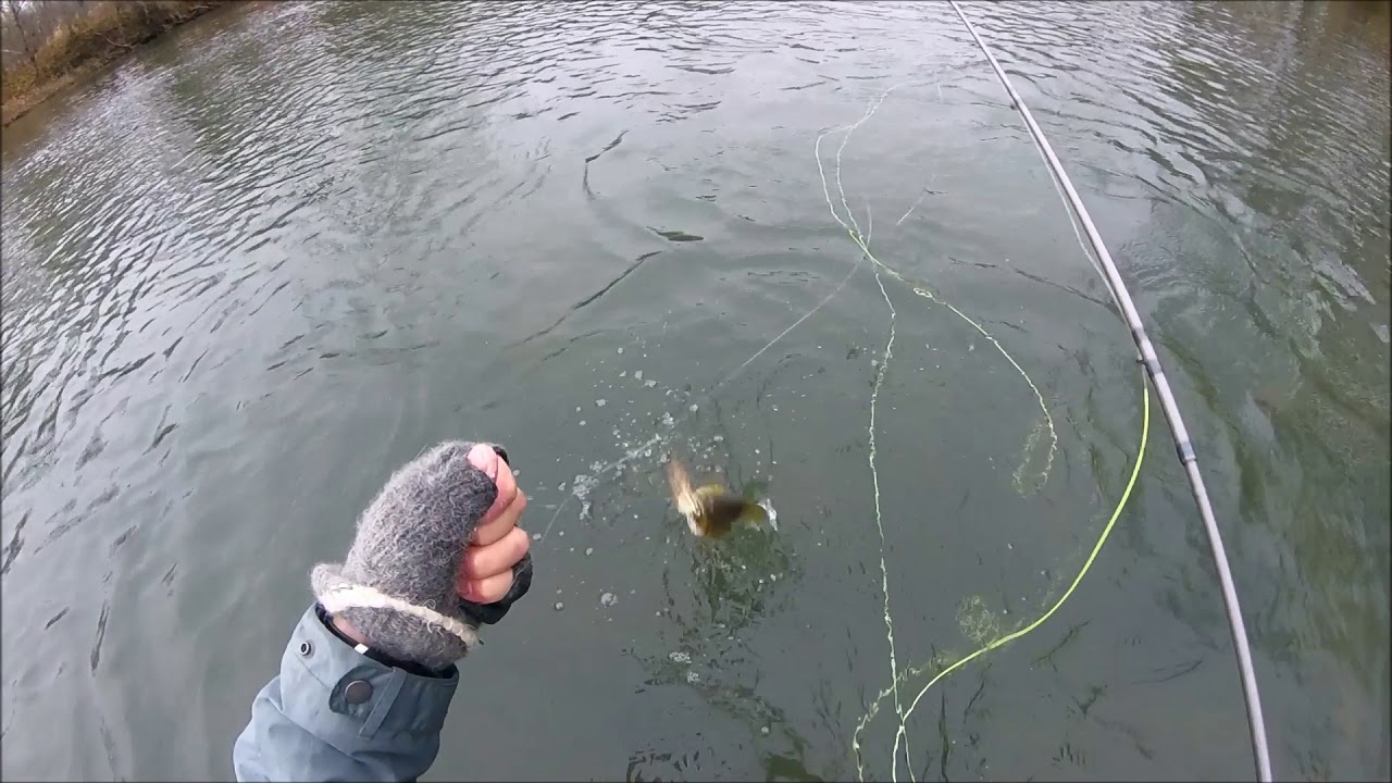 Fly Fishing Winter Smallmouth in Missouri