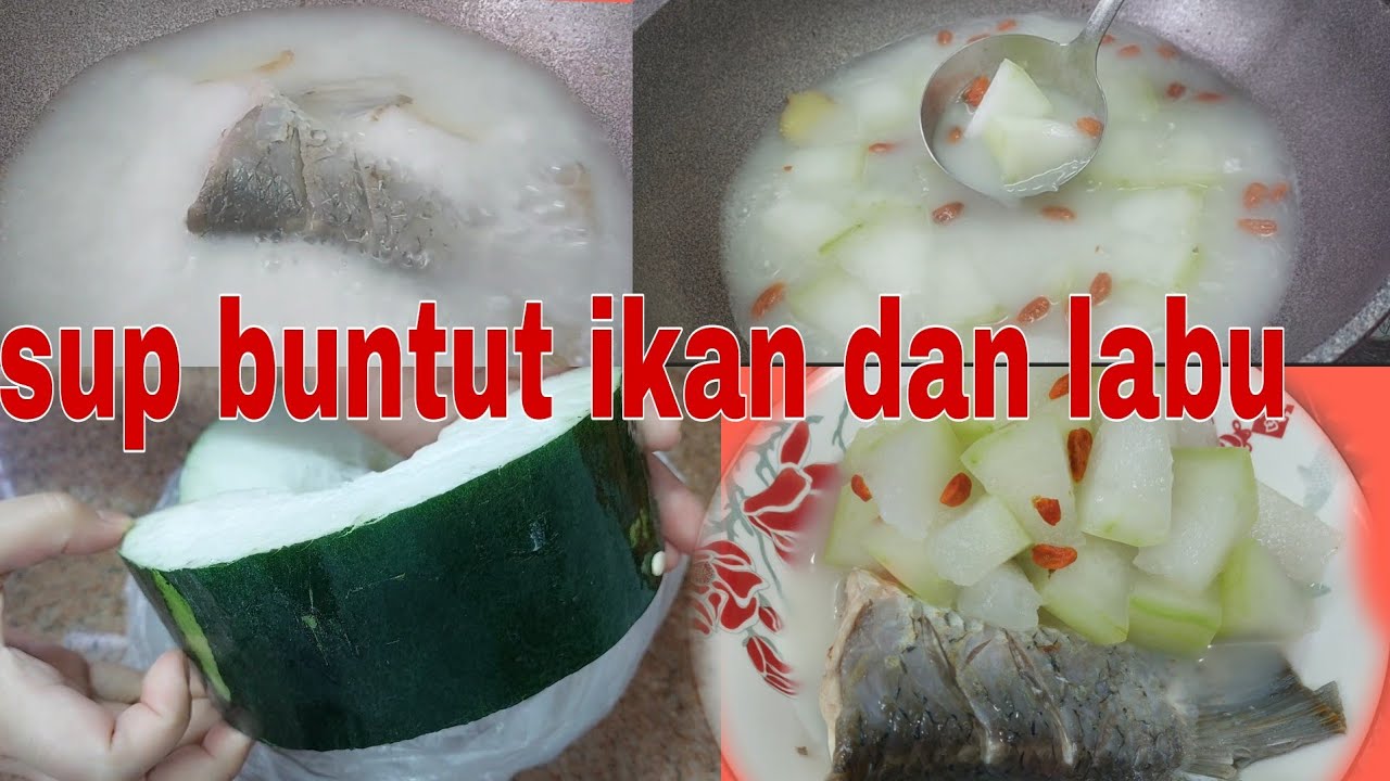 Sup buntut ikan dan labu kuah putih susu seger banget buat musim panas@liyamenul