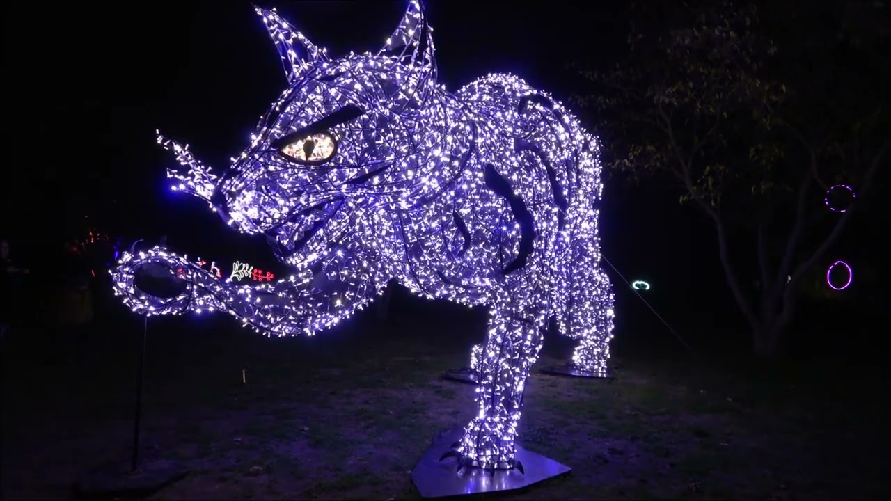 Lumagica Magdeburg