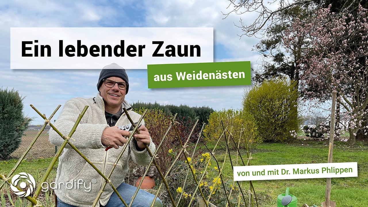 Lebender Weidenzaun – schnell selbst gemacht | gardify Tipps