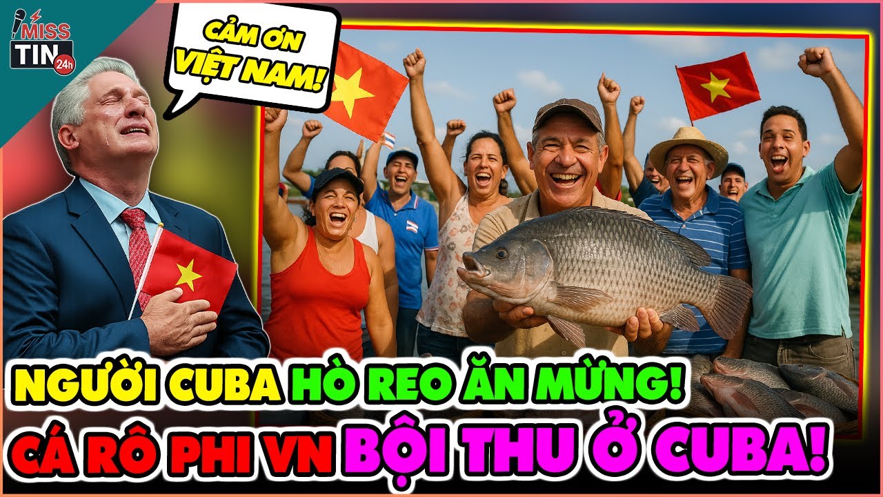 Cá Rô Phi Việt Nam THẮNG LỚN ở Cuba! Lớn Nhanh Như Thổi | #misstin24h