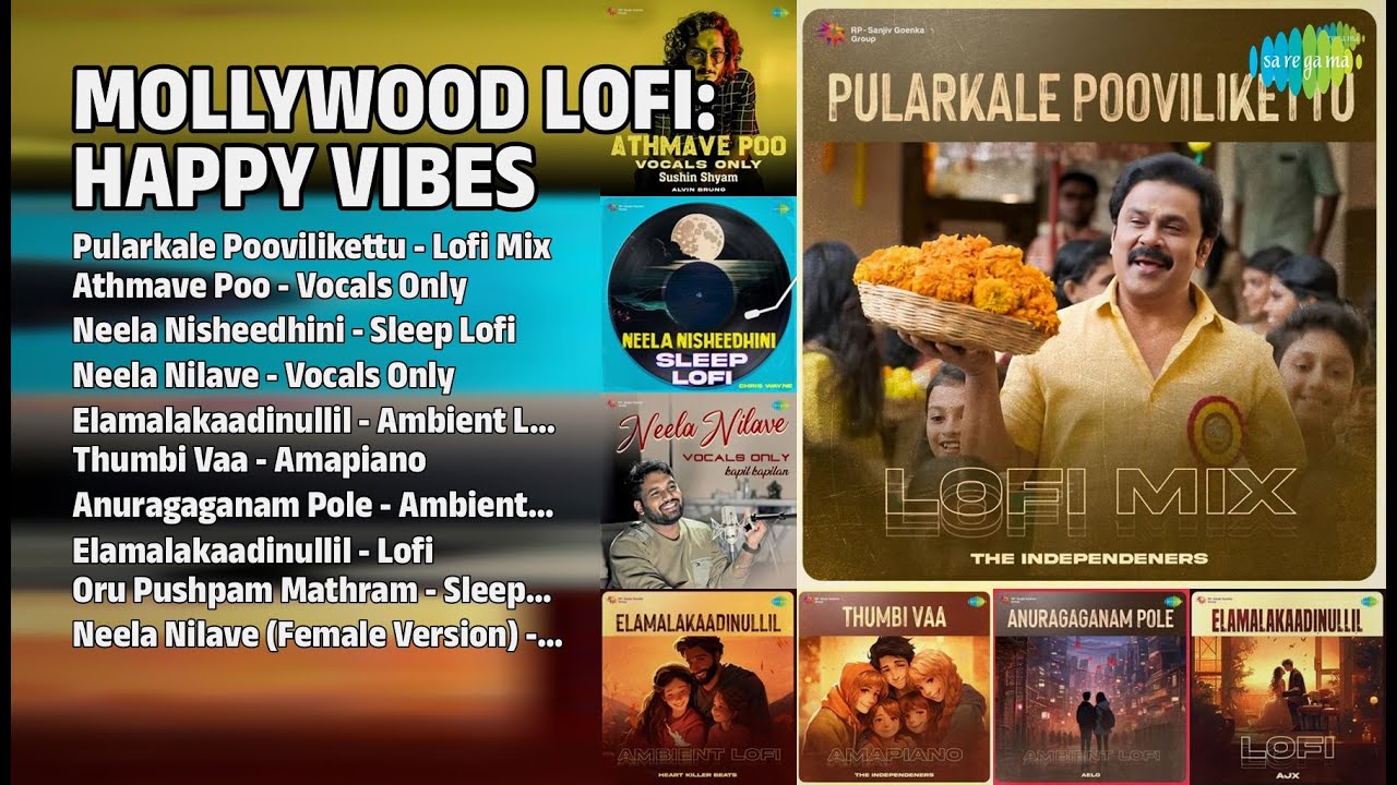 Mollywood Lofi ഹാപ്പി വൈബ്സ് | Vijay Yesudas Songs | Pularkale Poovilikettu  Lofi Mix