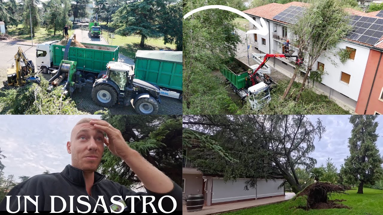 PIANTE CADUTE ANCHE SULLE CASE DAL FORTE TEMPORALE! RIMOZIONE E CIPPATURA
