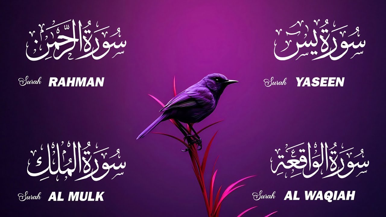 Surah Yasin, Ar-Rahman, Al-Waqiah & Al-Mulk | Calming Quran Recitation 🌙 Night of Peace | Alla Aqel