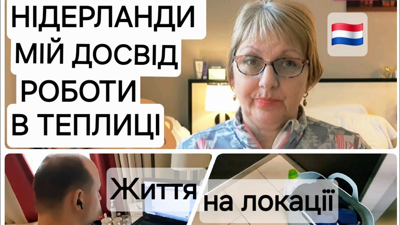 НІДЕРЛАНДИ ДЛЯ УКРАЇНЦІВ | Не змогла працювати в теплиці😒| Netherlands Work and live #netherland 
