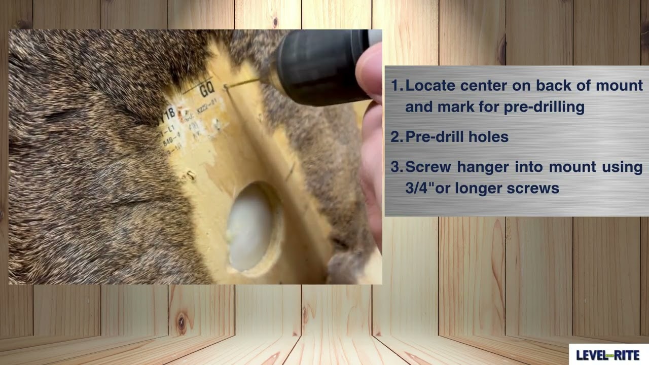 How to Install a Level-Rite Hanger | Taxidermy hanging Step-by-Step Guide