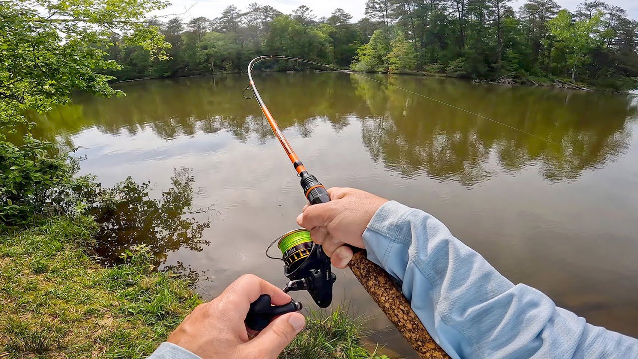 Middle of Nowhere Spot LOADED with Fish! (Bank Fishing for Dinner & More)