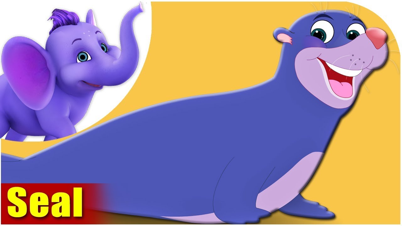 Animal Rhymes for Kids - Seal Song