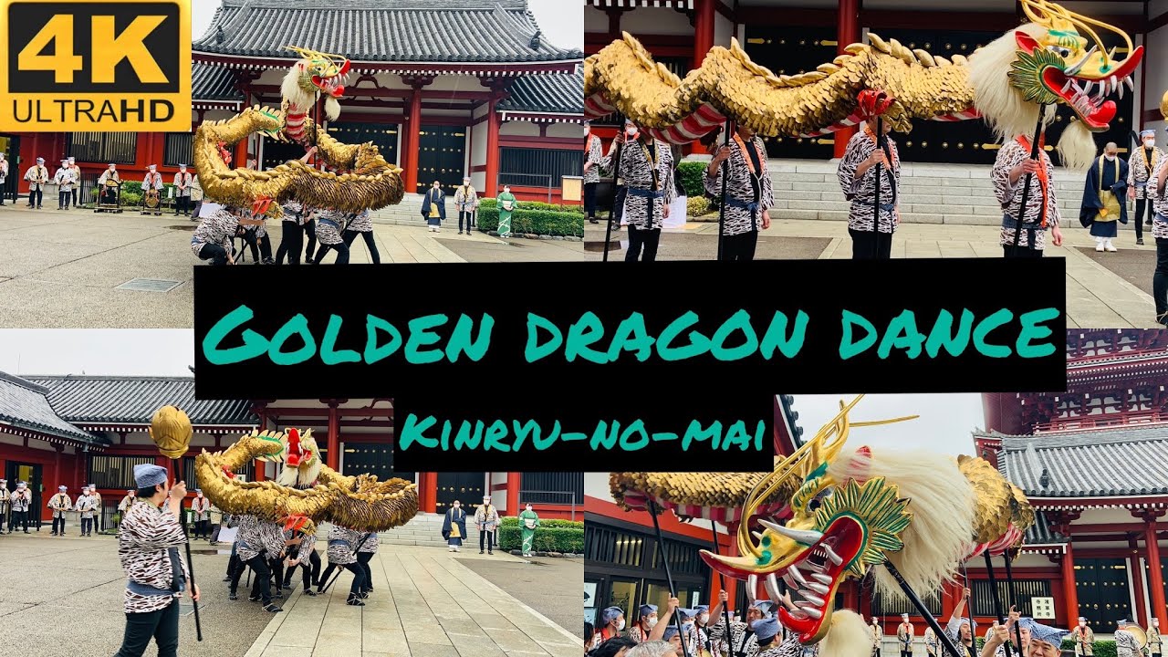 Golden Dragon Dance Japan 2022 | Experience Japan | Asakusa Temple | 金龍の舞 2022 | Dragon Dance