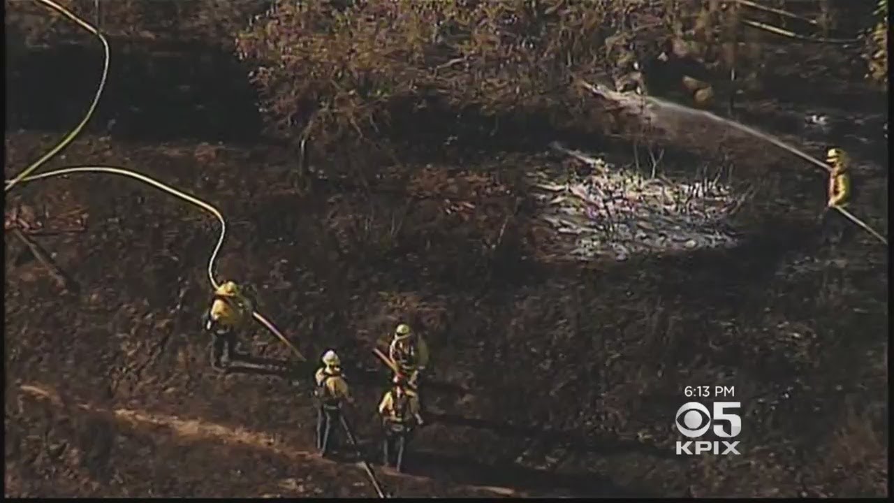 Neighbors Help Knock Down Grass Fire In Novato