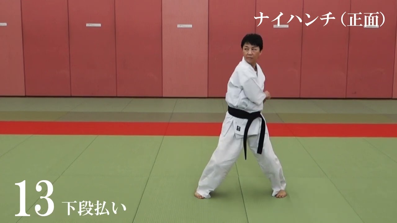 ナイハンチ：O.T.S空手検定協会