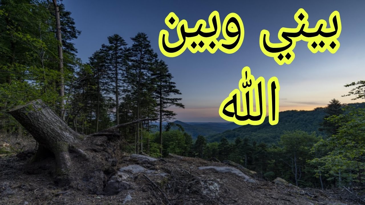 صوتك المألوف: سر الطمأنينة قبل وقوع العاصفة.