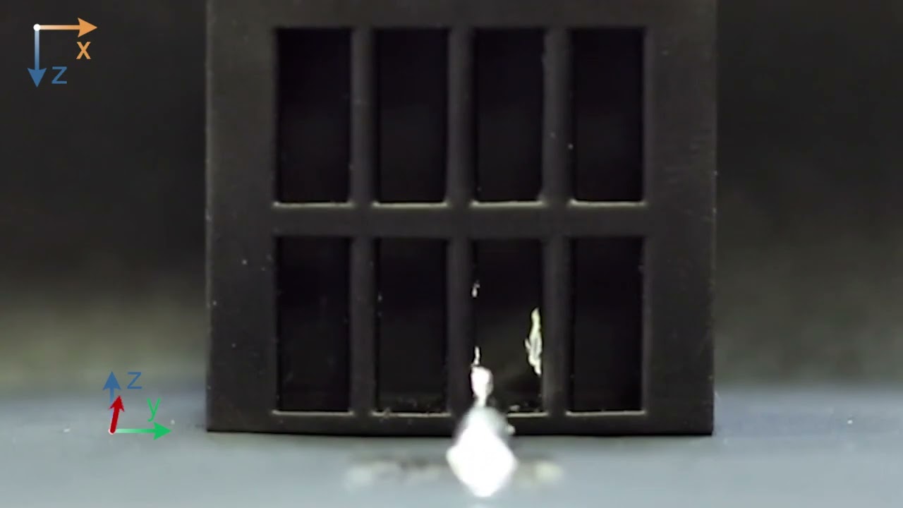 Shape-Shifting Robot