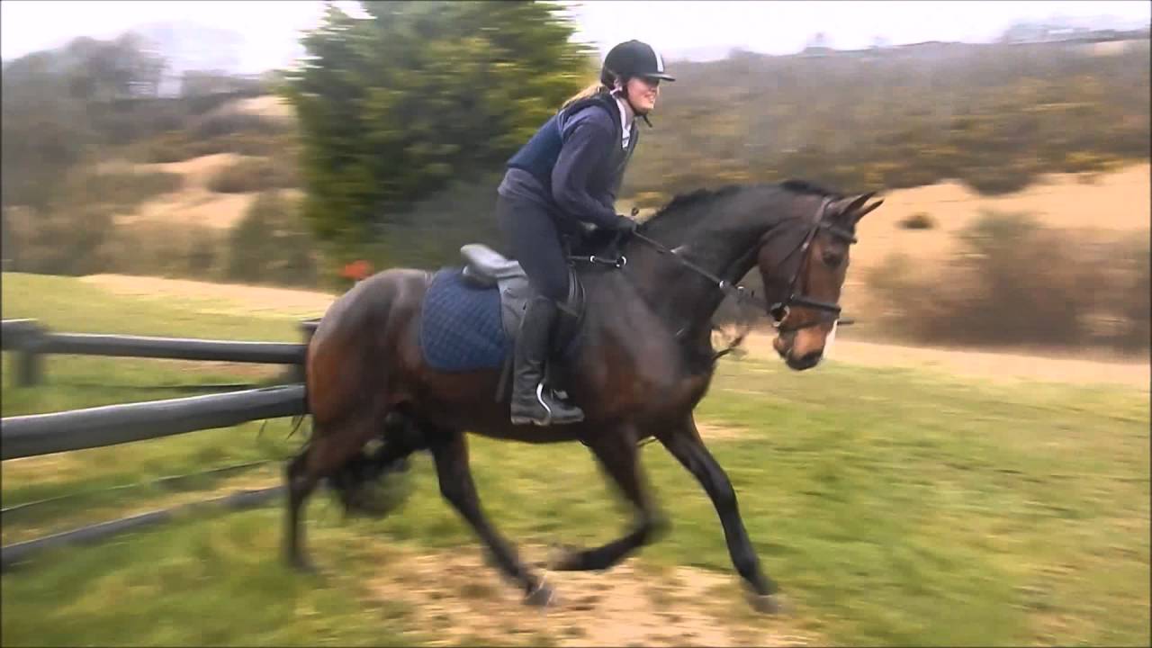 Deerpark Cross Country Schooling!
