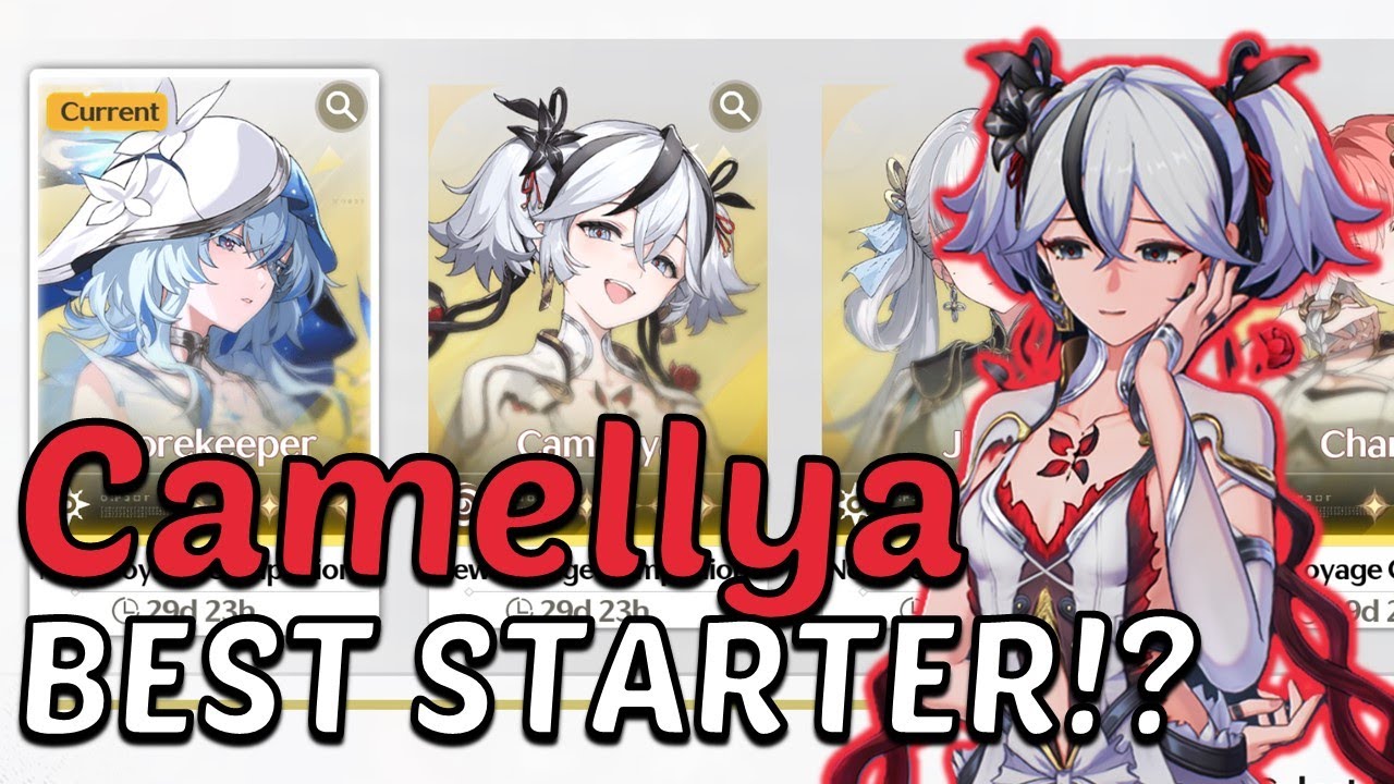 Best Resonator in Starter Banner? Who Should You Pull in 2.6 + Synergies? Beginner- Wuthering Waves