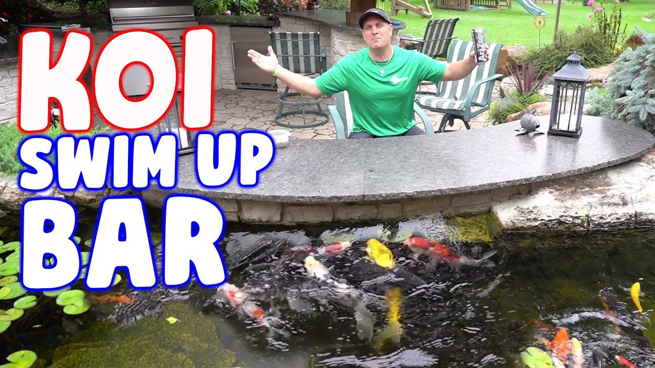 A KOI BAR in the Ultimate Backyard Pond!