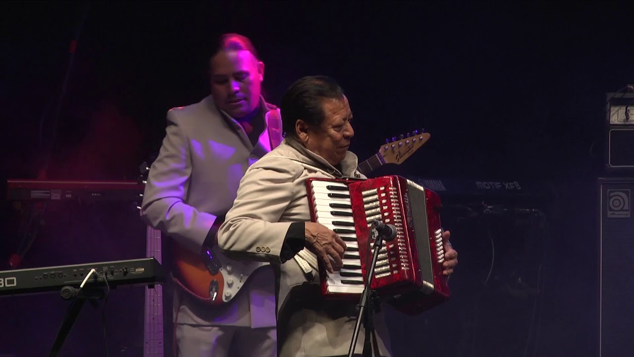 El Caiman - Los Cometas de Mike Laure (En Vivo)