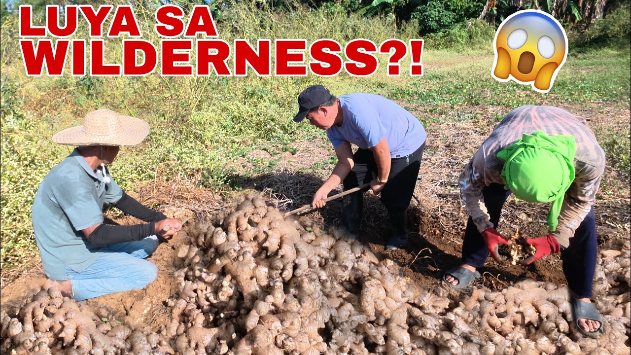 GRABE ANG LAMAN NG LUYA SA KAPARANGAN | Biyaherong Batangueño