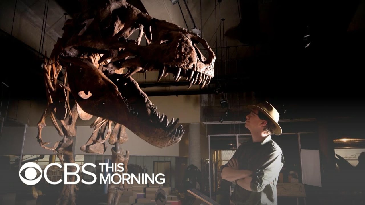 Scotty, largest T. rex ever found, on display in Canada