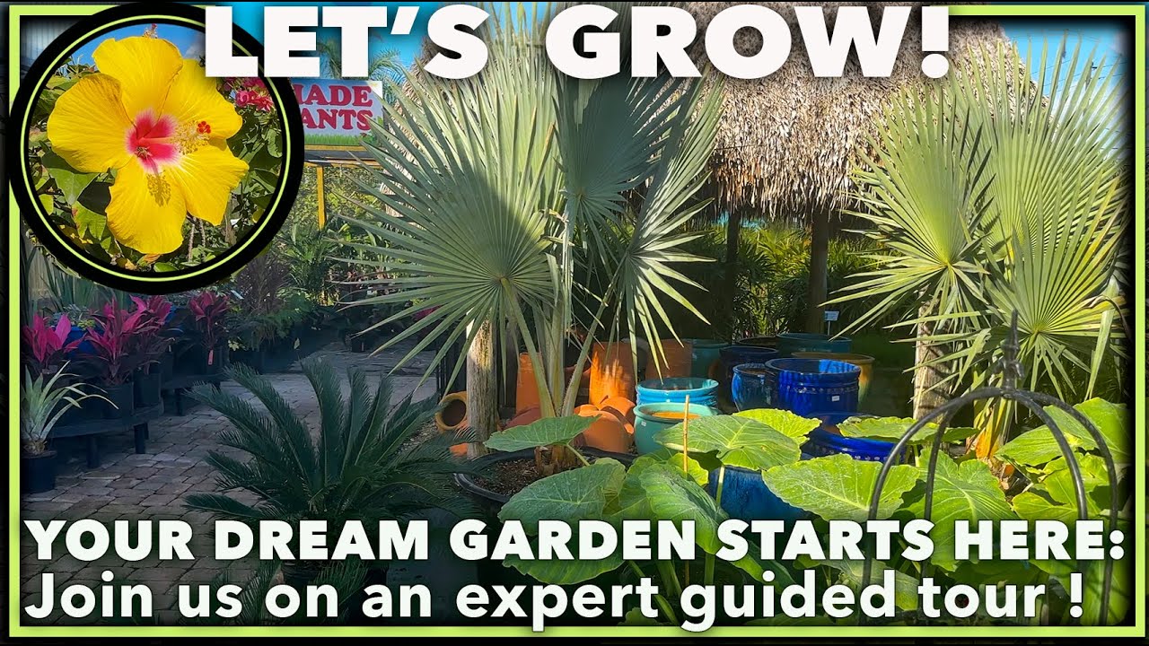PRO PLANT PICKS & EXPERT GUIDED TOUR AT FLORIDA NURSERY MART: An inside look with the owner