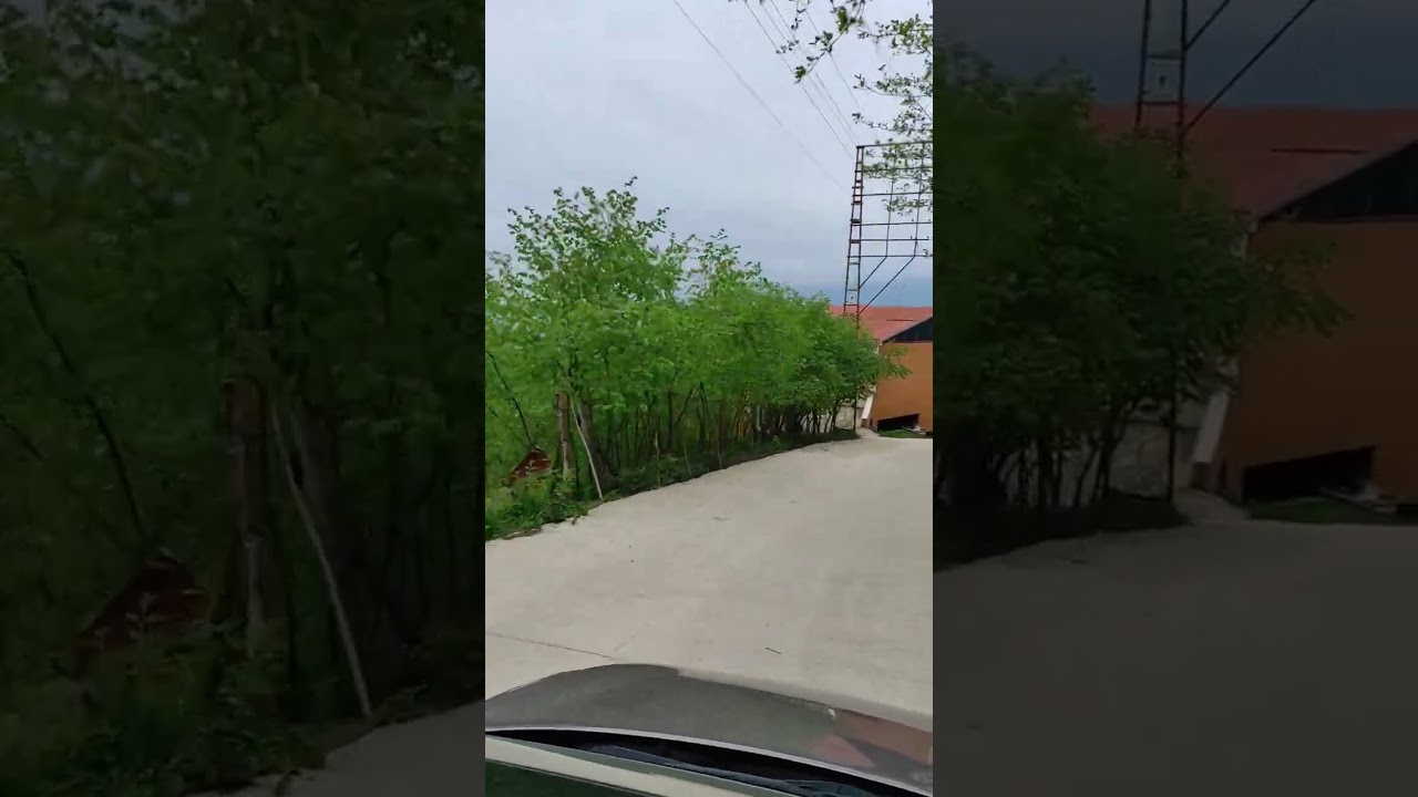 Aslancami Mahallesi/Fatsa