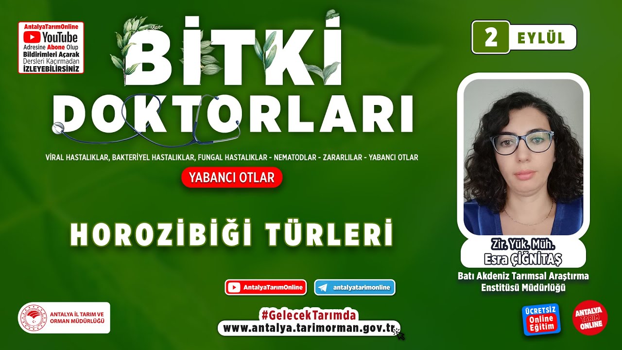 Bitki Doktorları 91 - Horozibiği Türleri ( Amaranthus spp. ( Pigweed )) ve Mücadelesi