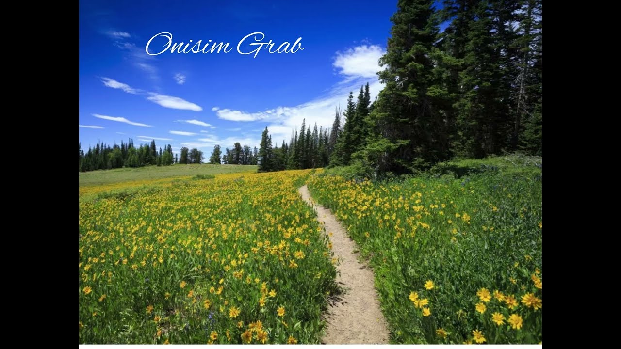 Onisim Grab - Mă recunosc
