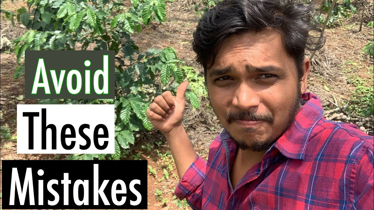 5 mistakes to avoid if you are starting a new coffee farm!