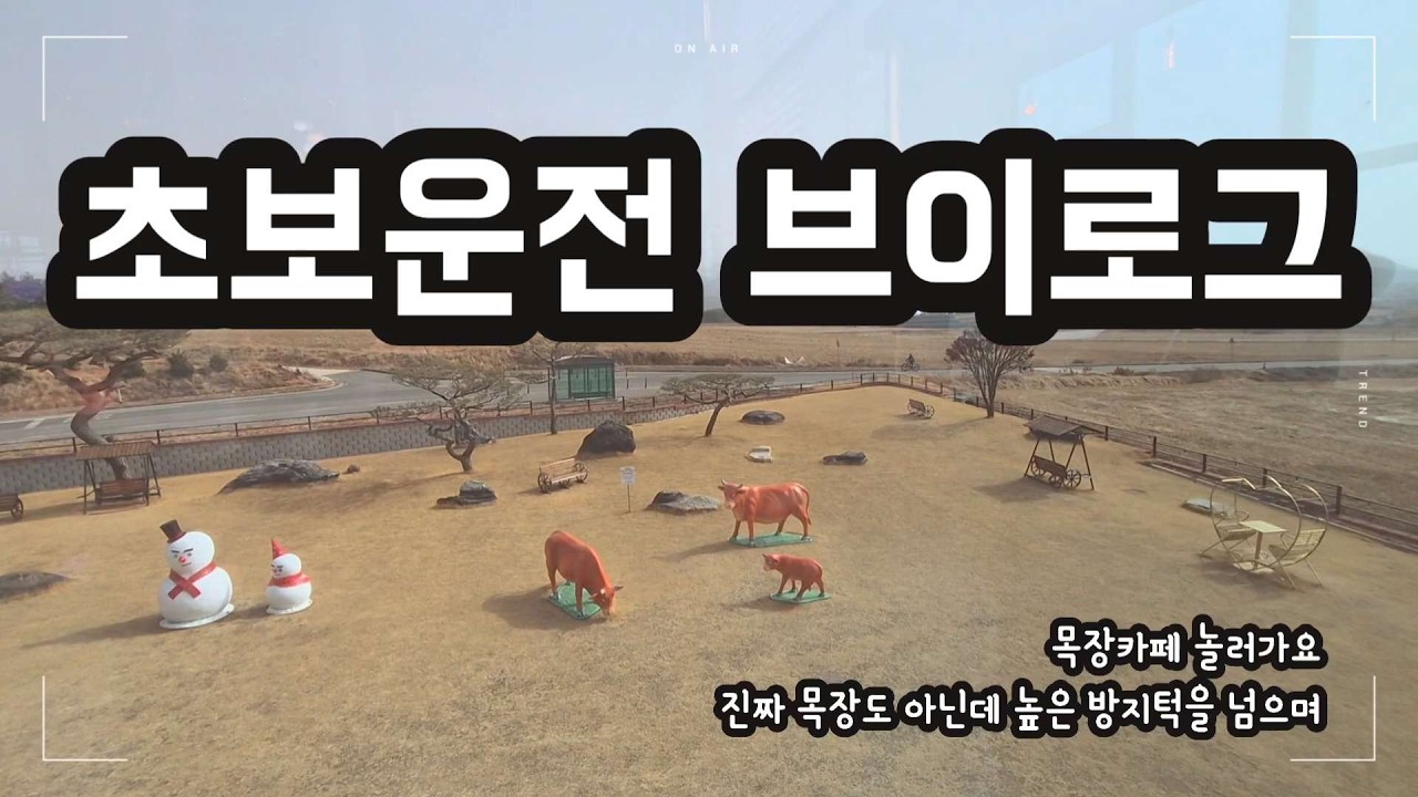 [VLOG] 서산목장카페에 놀러가요🐂 | 초보운전 브이로그 | 남편이랑 | 현대 베뉴 | 첫차 | VENUE