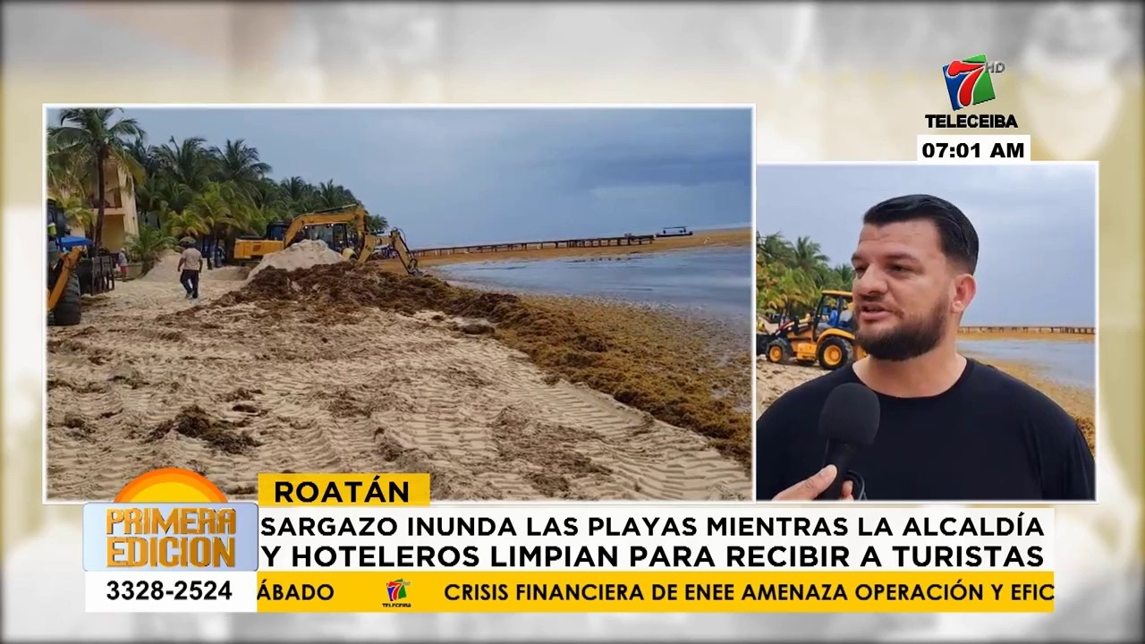 Sargazo inunda playas de Roatán: alcaldía y hoteleros realizan labores de limpieza