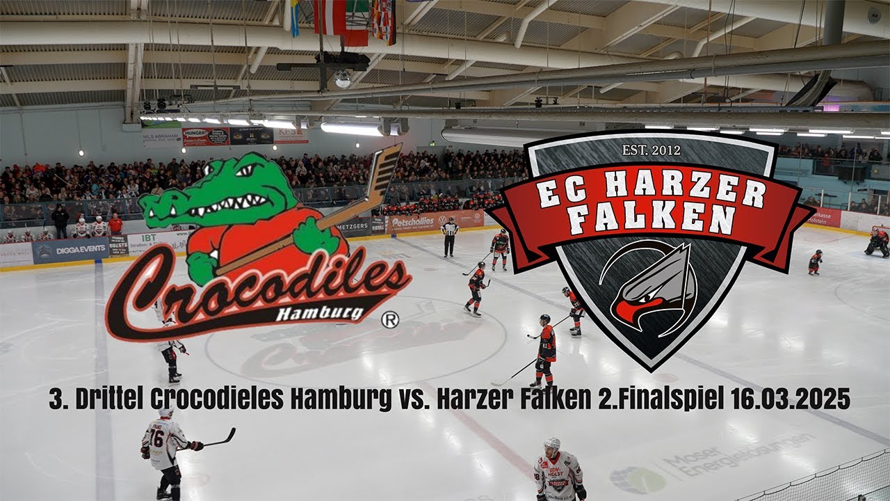 3. Drittel 2 . Finalspiel Crocodiles Hambrg vs. Harzer Falken 16.03.2025  Rohversion ungeschnitten