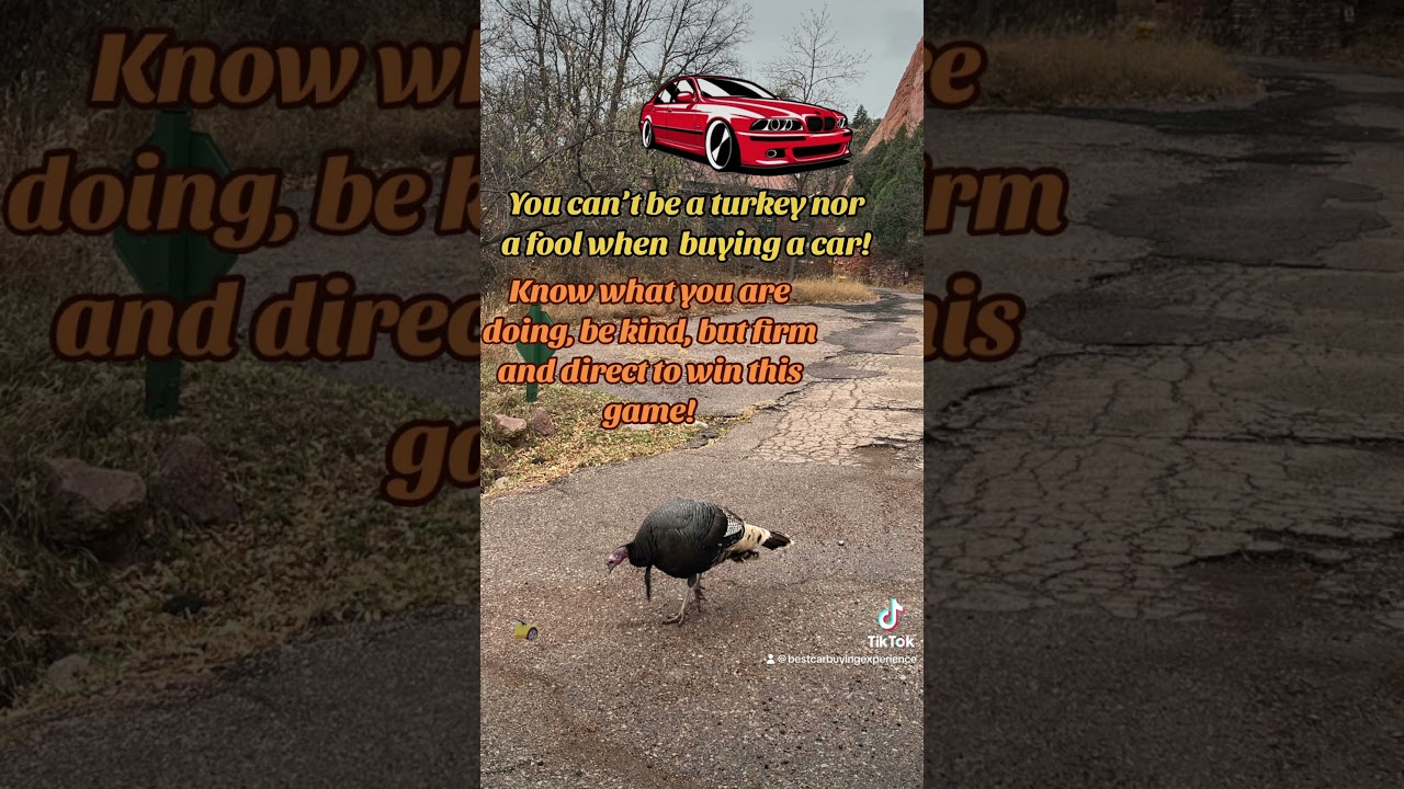 Be prepared when buying a car! #carbuyingguide #cars #automobile #autobuyer #suv #truck #carbuying