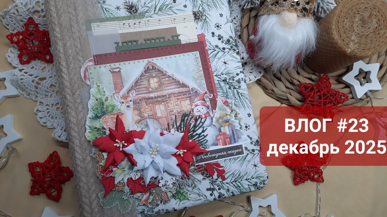 Влог 23 декабрь 2025