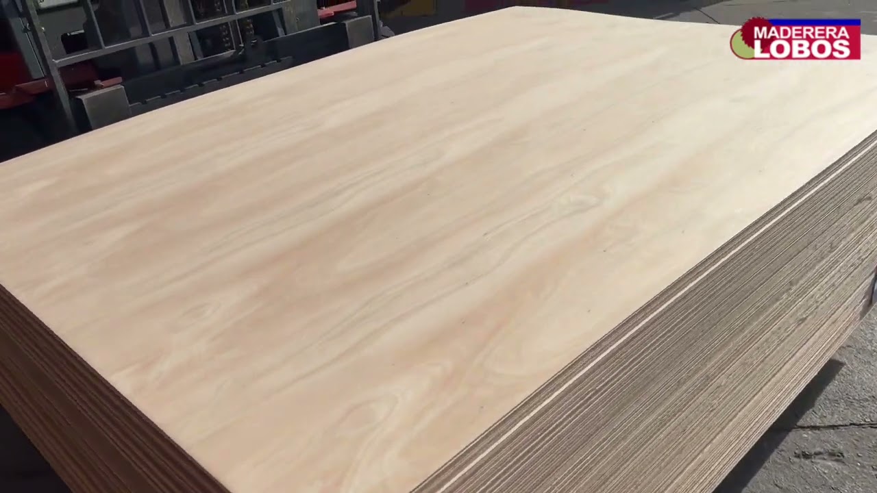 Terciados Eucalipto 3 mm | Video Producto