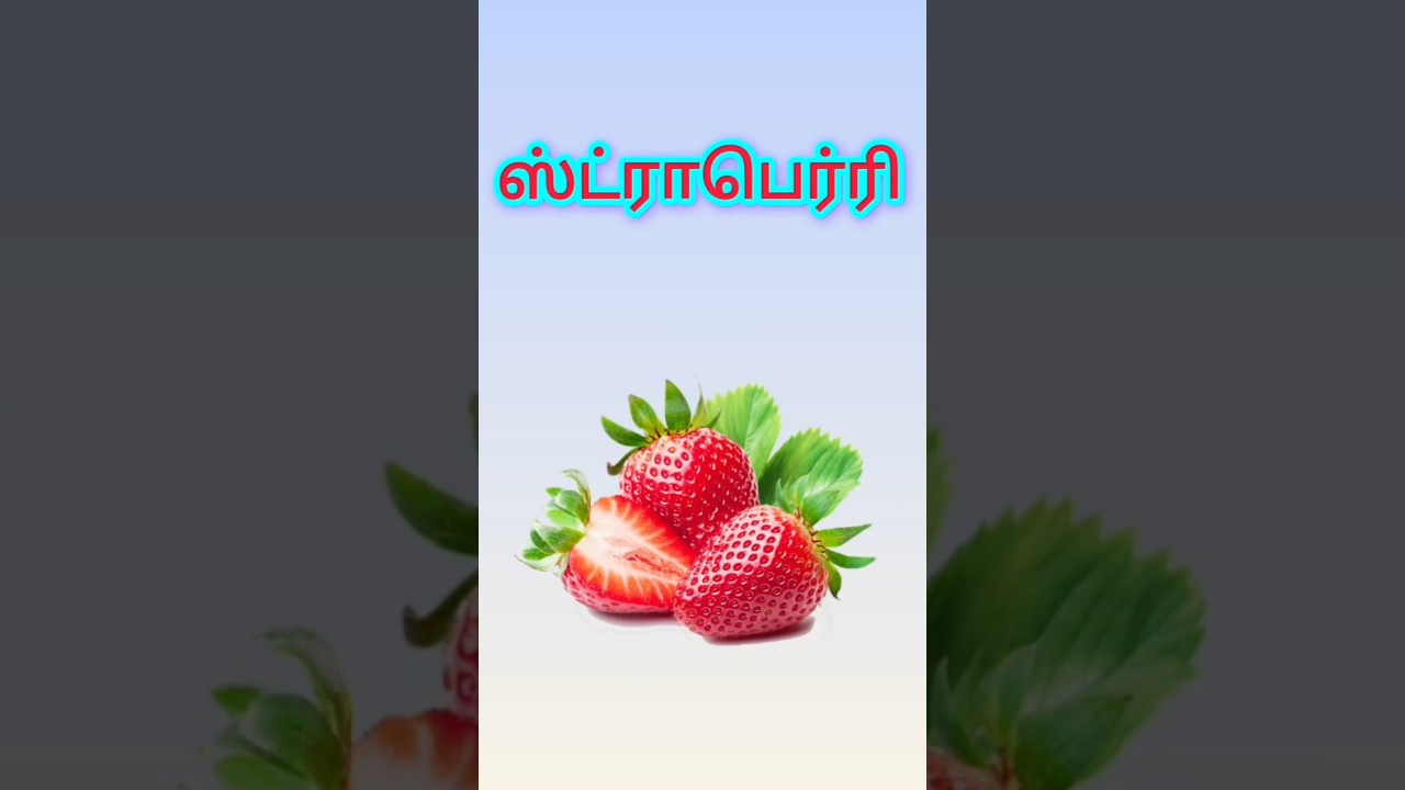 பழங்கள் பெயர் 🍓🍒🥭||palankal names ||fruits names ||fruits name for kids
