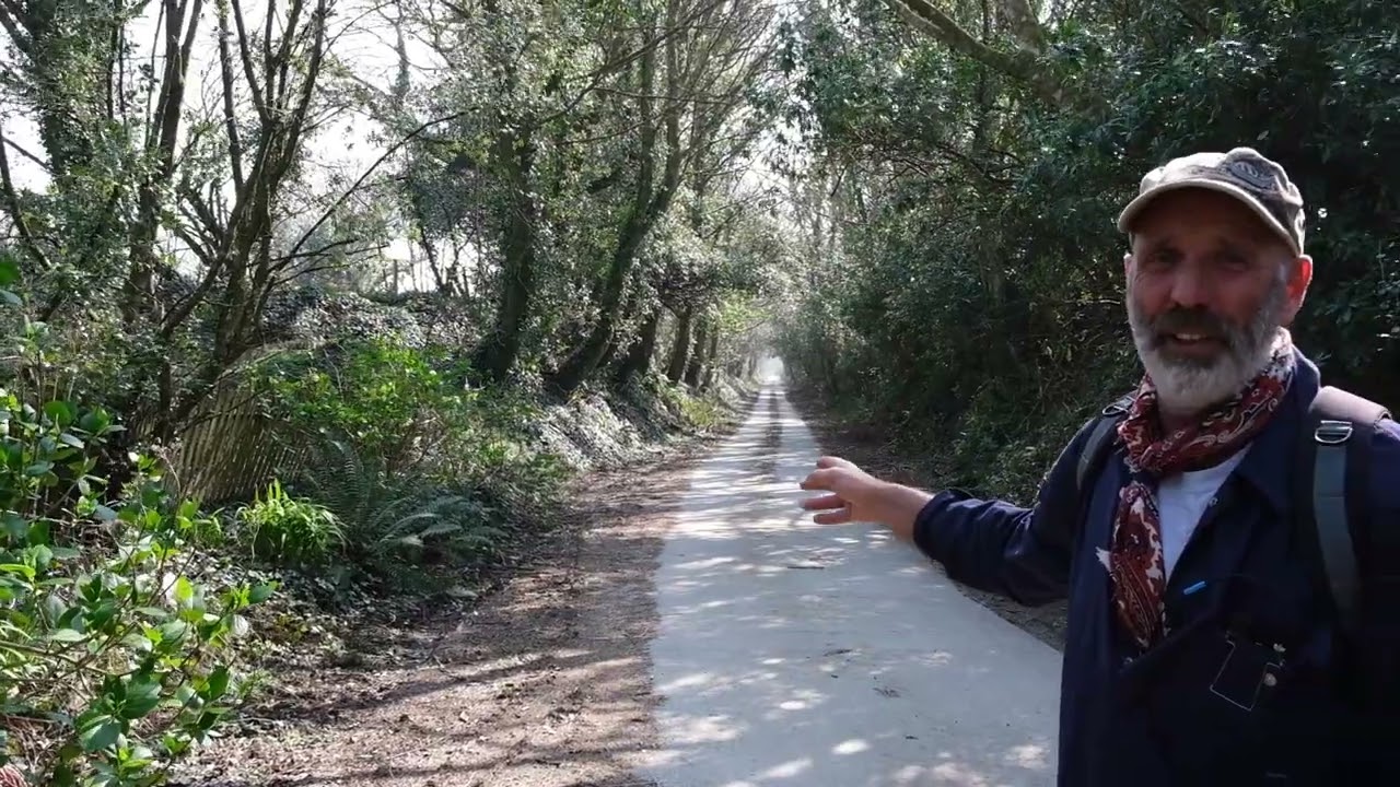 Run the Helston Branch Line