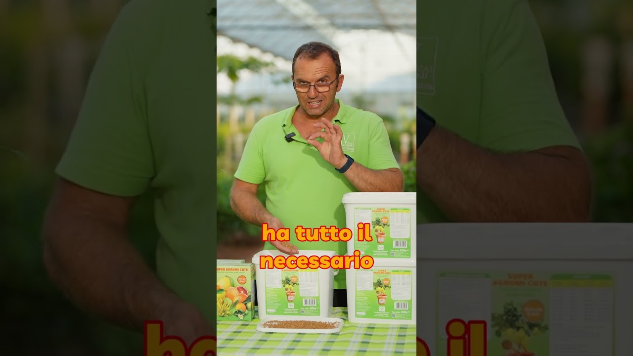 Come concimare la tua pianta di LIMONE? - SUPER AGRUMI COTE di Savini Vivai!